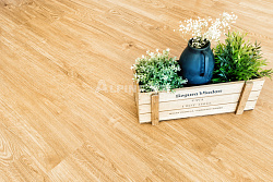 ПВХ-плитка замковая Секвойя роял Sequoia LVT ALPINE FLOOR ECO 6-4
