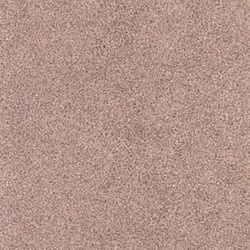 Линолеум Sprint Pro Sahara 3 TARKETT