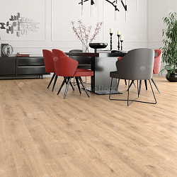 Ламинат ДУБ КАРАМЕЛЬ LEGNO EXSTRA ALPINE FLOOR by CAMSAN L 1002