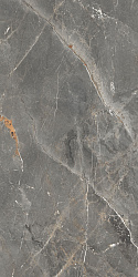 Керамогранит Tulip Темно-серый GT1206012109SPR GLOBAL TILE