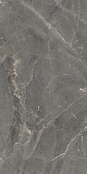 Керамогранит Tulip Темно-серый GT1206012109SPR GLOBAL TILE