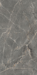 Керамогранит Tulip Темно-серый GT1206012109SPR GLOBAL TILE