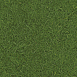 Линолеум Neo Grass 025 IVC